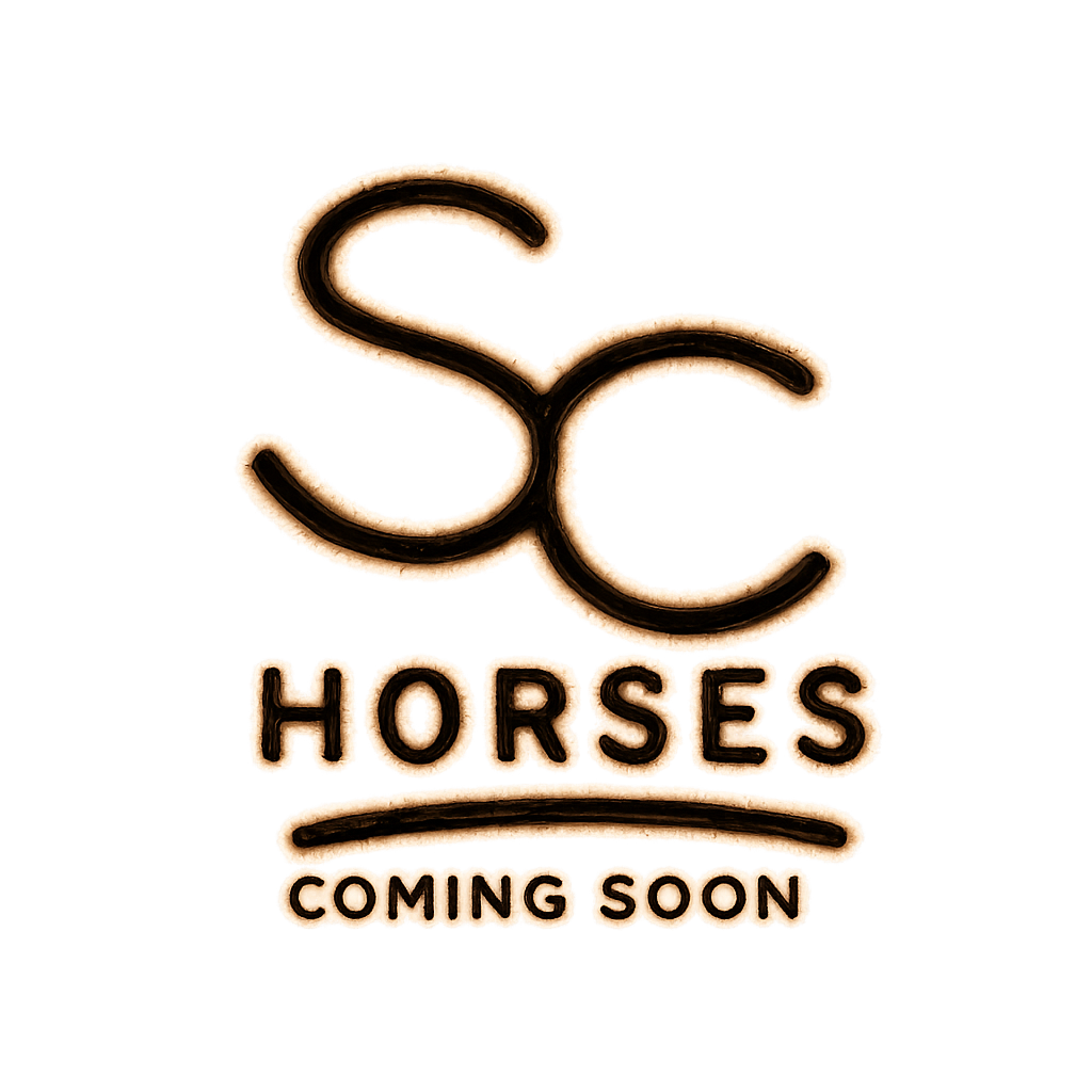 Second Chance Horses