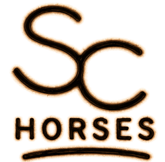 Second Chance Horses Logo
